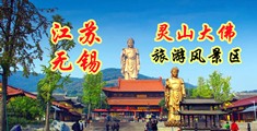 亚洲艹逼片江苏无锡灵山大佛旅游风景区