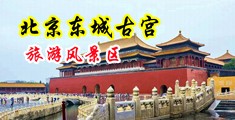 两女同互舔阴道,琪琪色中国北京-东城古宫旅游风景区